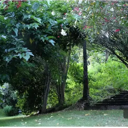 Σπίτι διακοπών Quinta Das Fragas *