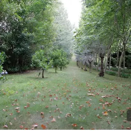 Σπίτι διακοπών Quinta Das Fragas Baião